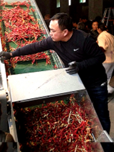 新澳门免费原料网大全