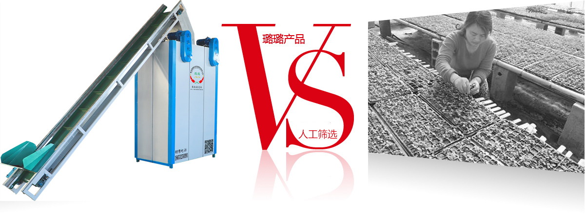 新澳门免费原料网大全