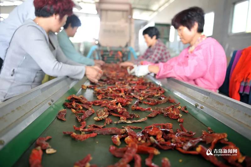 新澳门免费原料网大全