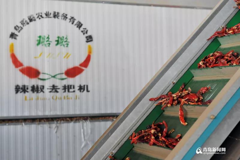新澳门免费原料网大全
