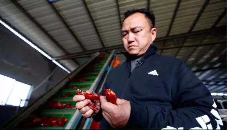 新澳门免费原料网大全
