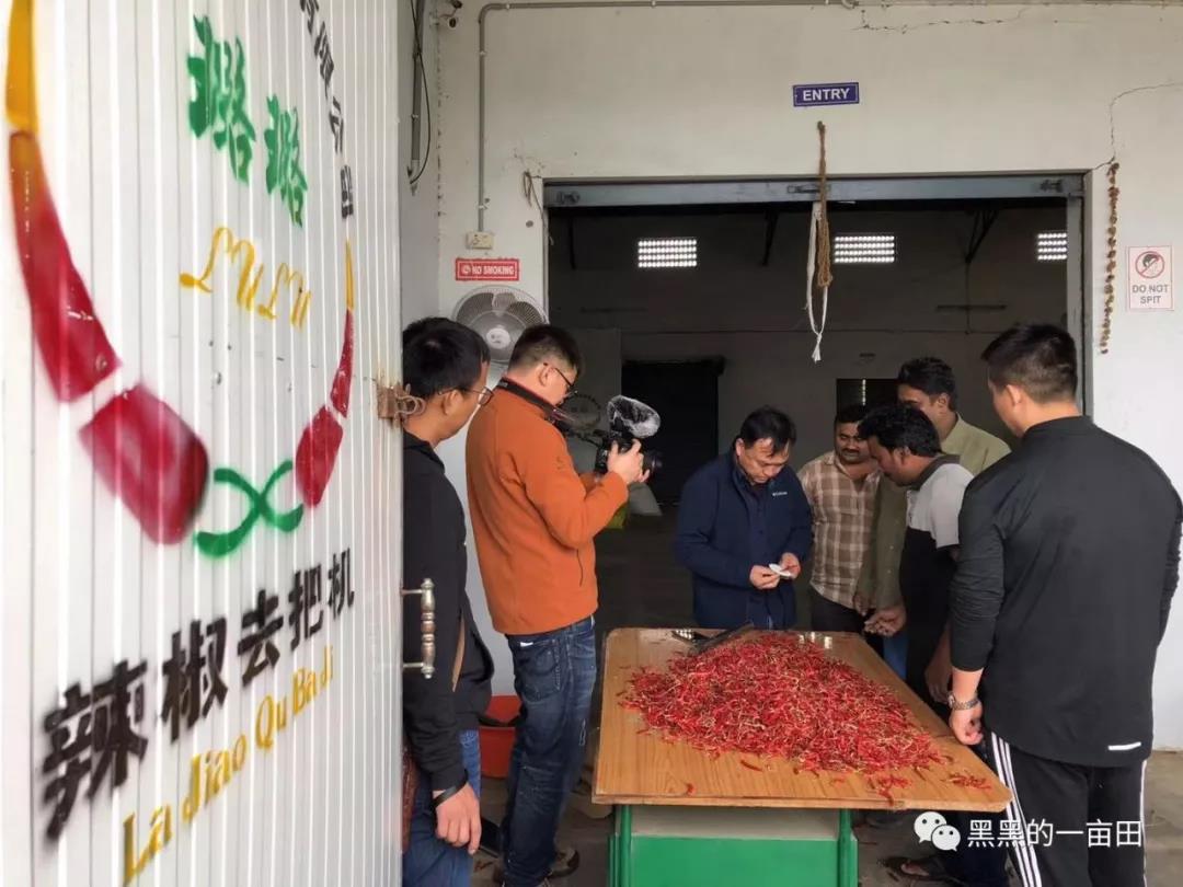 新澳门免费原料网大全